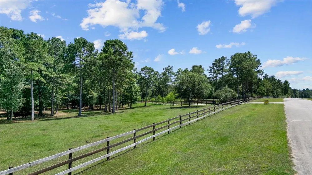 9698 Pioneer Trace Conroe, TX 77303