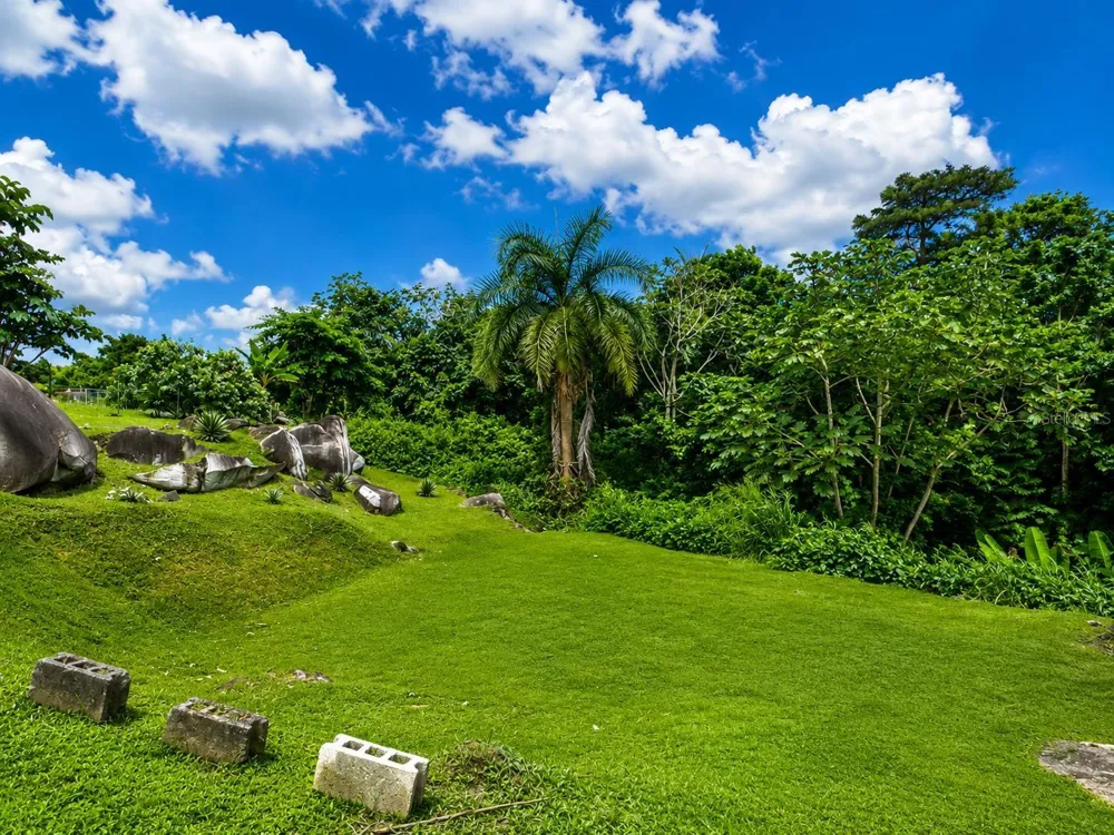 CARR. 908 KM 9.4 BO. TEJAS APT. #7 Humacao, PR 00791