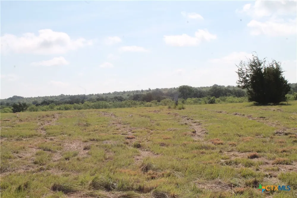 688 Comanche Lake Road Comanche, TX 76442