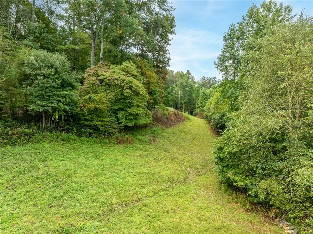 365 Lower Star Creek Road Morganton, GA 30560