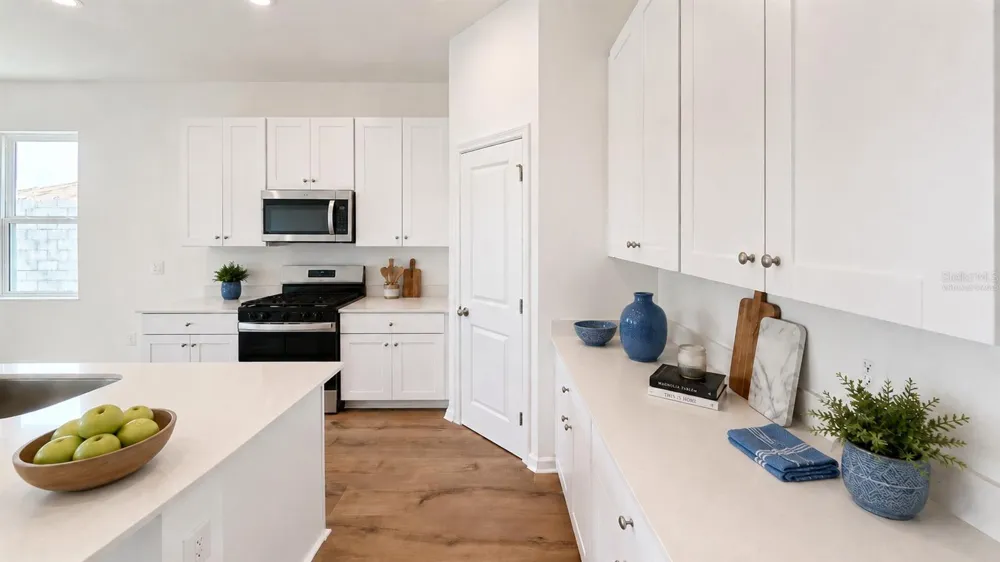 6217 SANDERS GROVE CIRCLE Okahumpka, FL 34762