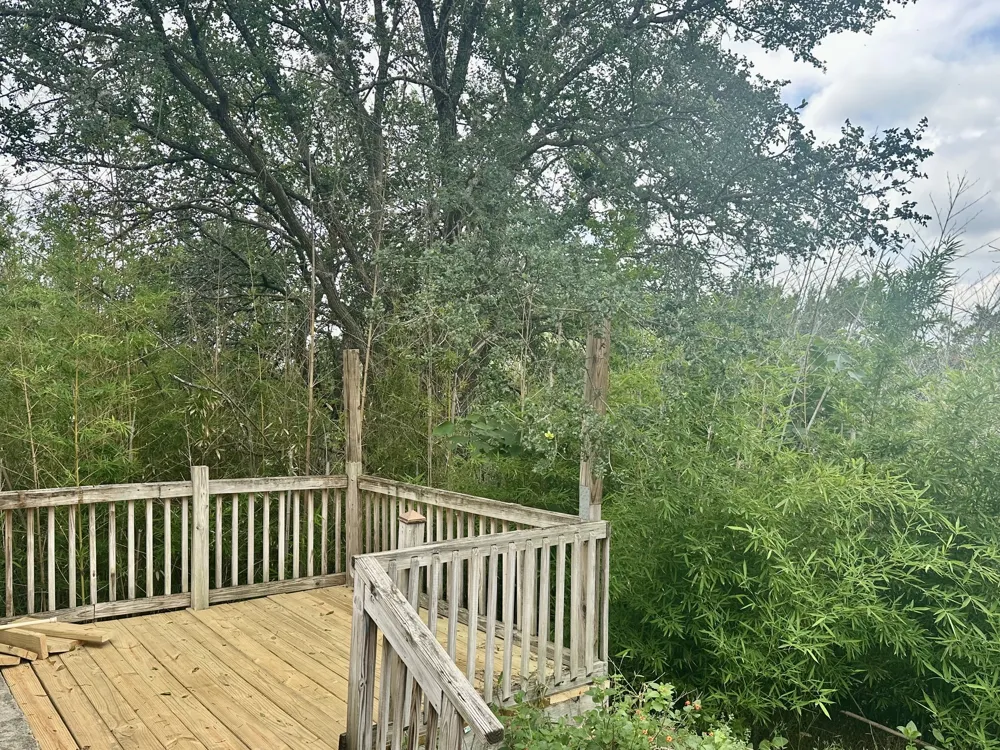 1103 Hillyer Street #A San Marcos, TX 78666