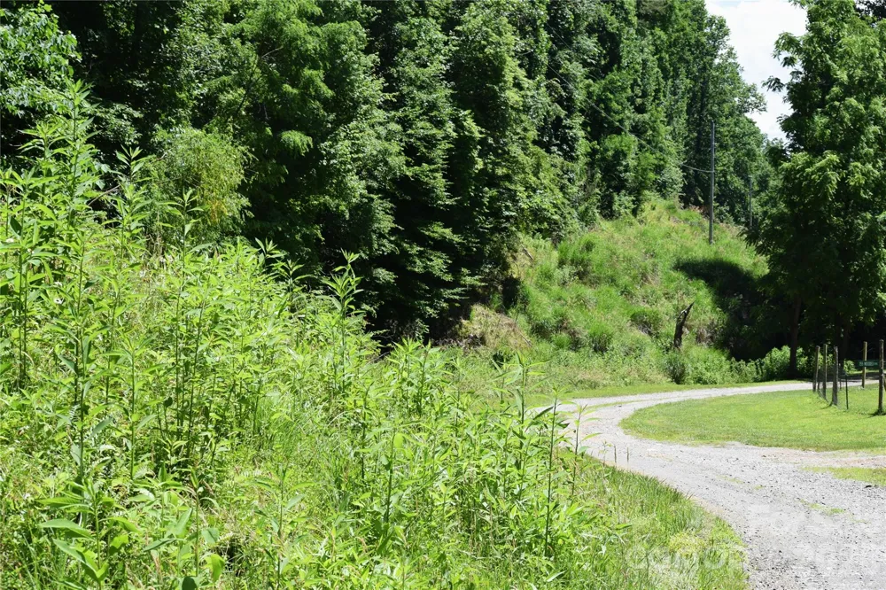 TBD Wooded Mountain Trail #Tract 1 Mars Hill, NC 28754