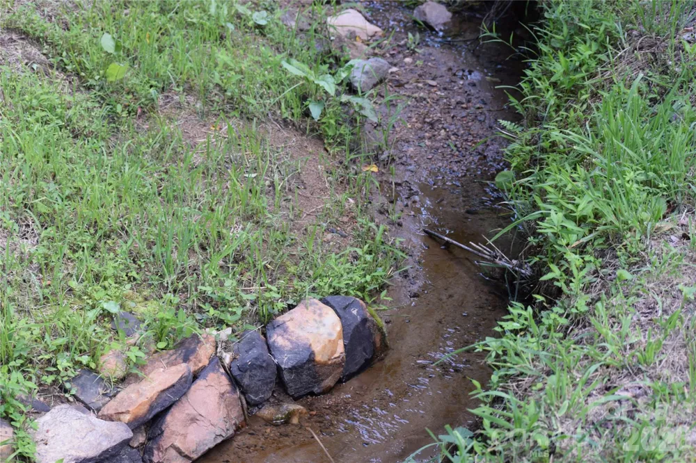 TBD Wooded Mountain Trail #Tract 1 Mars Hill, NC 28754