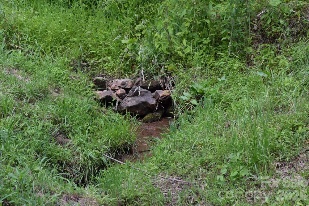 TBD Wooded Mountain Trail #Tract 1 Mars Hill, NC 28754