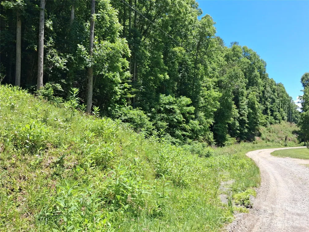 TBD Wooded Mountain Trail #Tract 2 Mars Hill, NC 28754