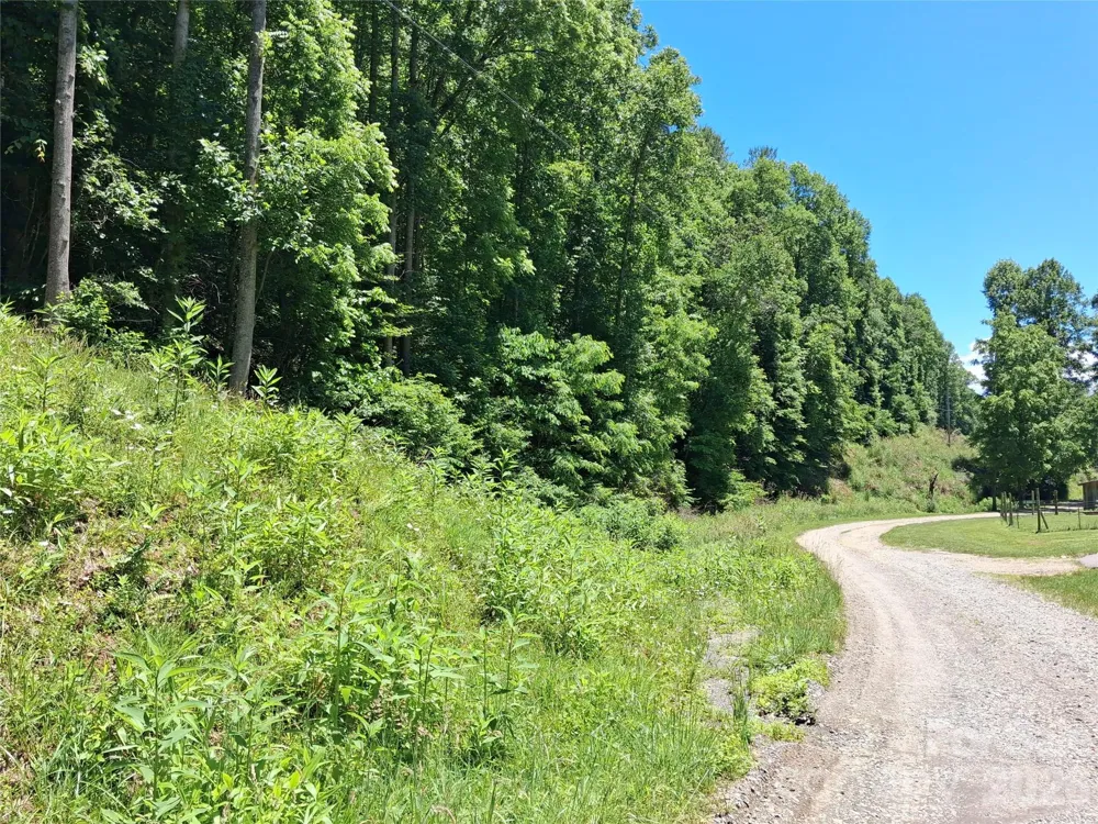 TBD Wooded Mountain Trail #Tract 2 Mars Hill, NC 28754