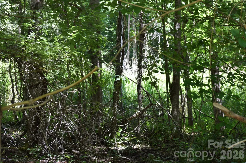 TBD Wooded Mountain Trail #Tract 2 Mars Hill, NC 28754