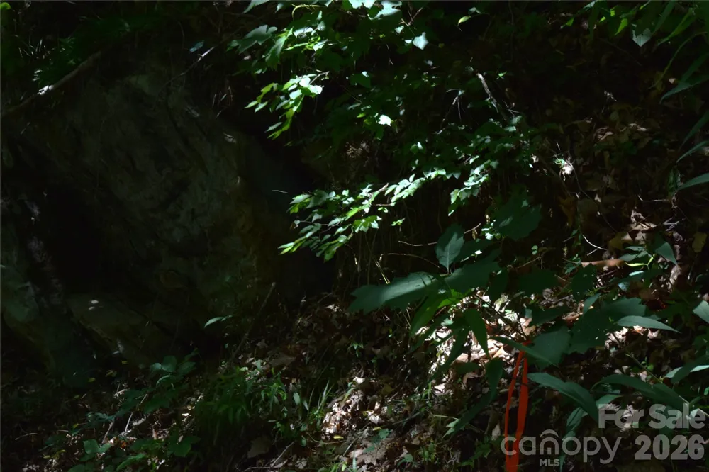 TBD Wooded Mountain Trail #Tract 2 Mars Hill, NC 28754