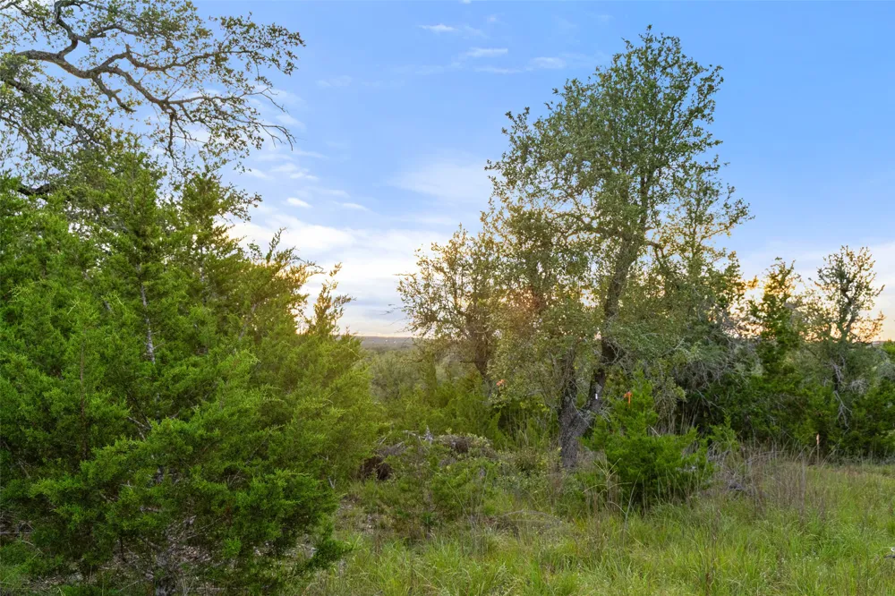32000 Mirela Ann Road Dripping Springs, TX 78620