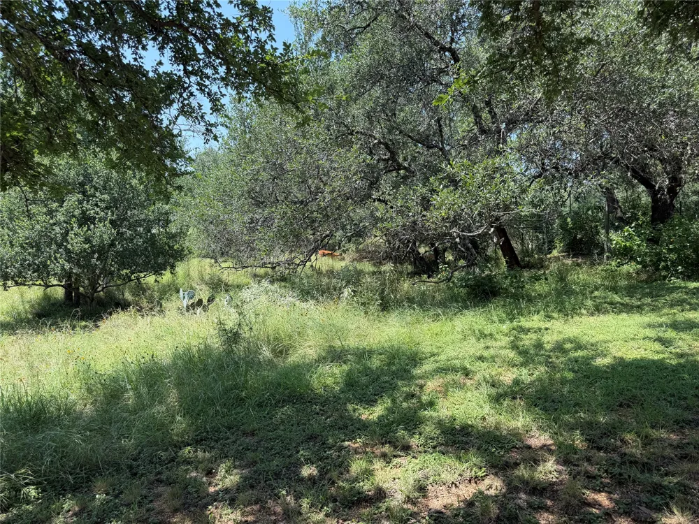 2302 Belaire Drive Granite Shoals, TX 78654