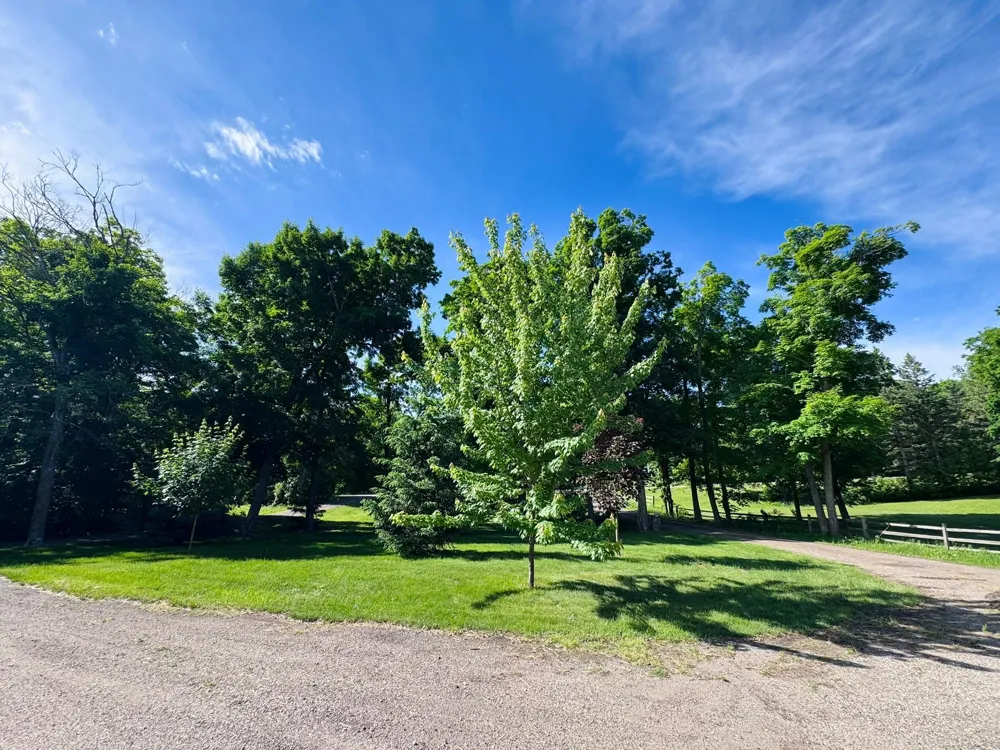 25190 E Cozy Cove Road Detroit Lakes, MN 56501