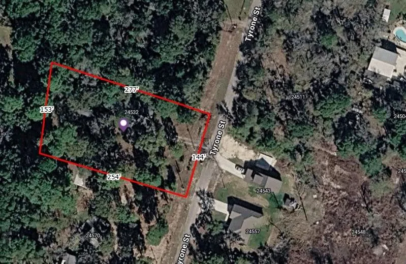 24532 Tyrone Hempstead, TX 77445