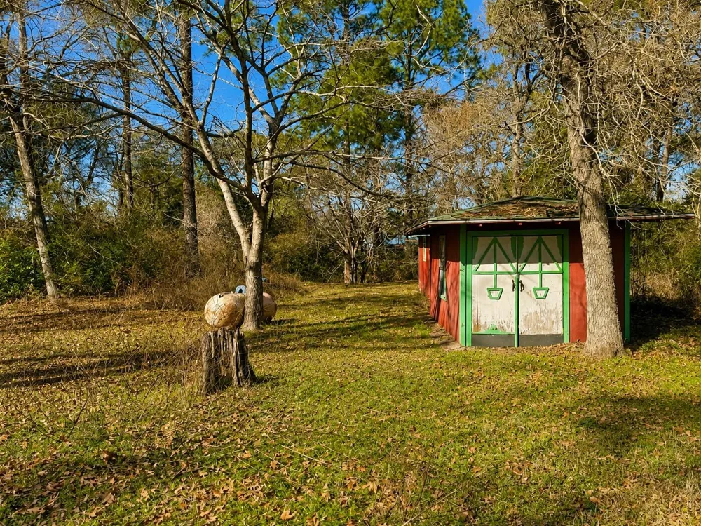 24532 Tyrone Hempstead, TX 77445