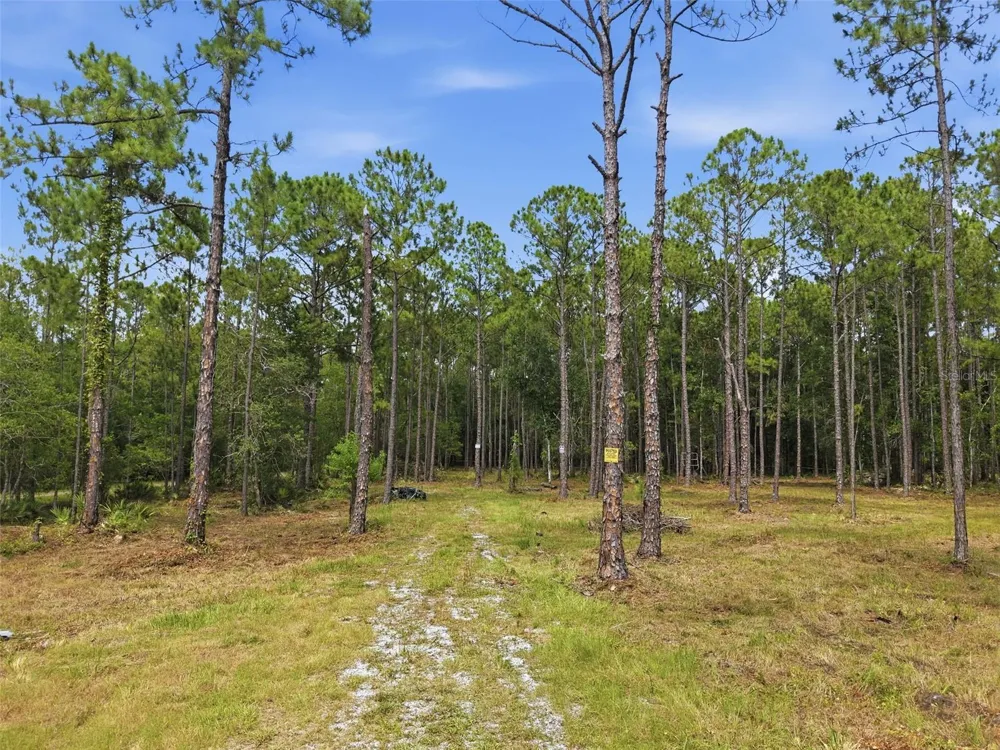 0 ALTAMONT LANE Odessa, FL 33556