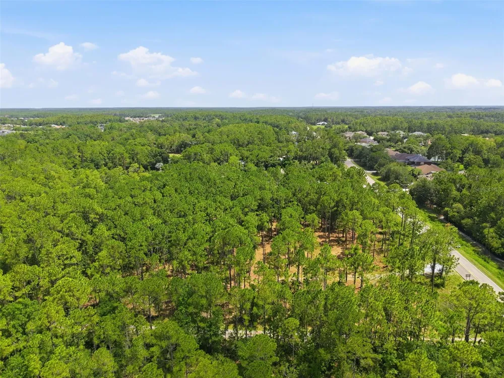 0 ALTAMONT LANE Odessa, FL 33556