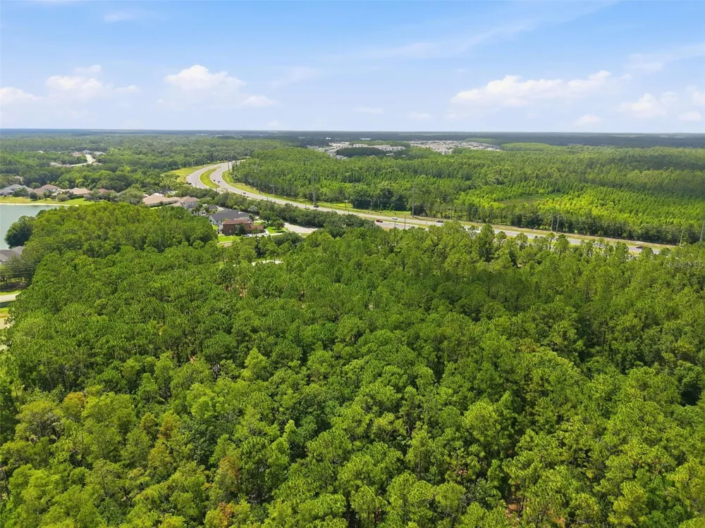 0 ALTAMONT LANE Odessa, FL 33556
