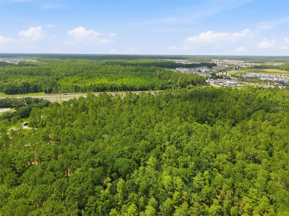 0 ALTAMONT LANE Odessa, FL 33556
