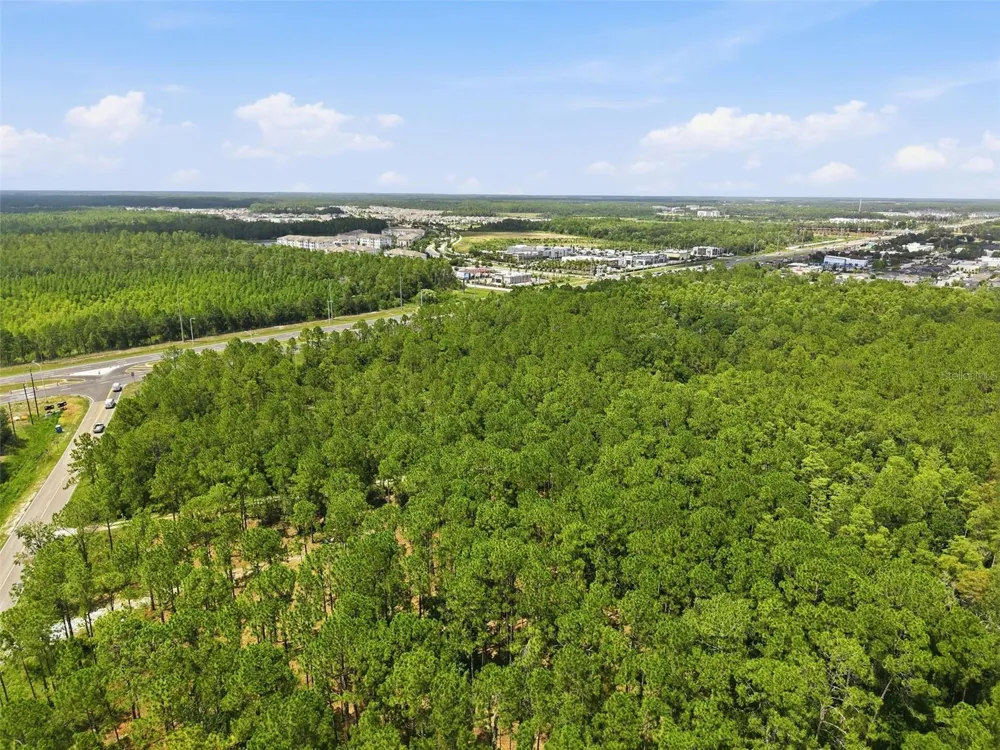 0 ALTAMONT LANE Odessa, FL 33556
