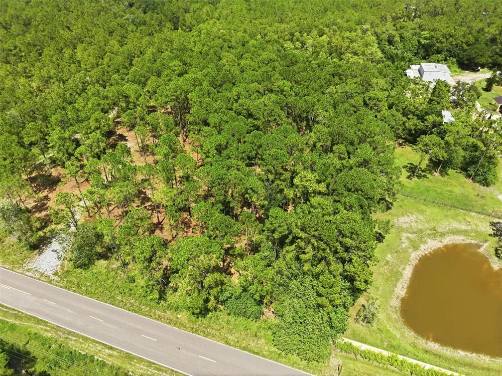 0 ALTAMONT LANE Odessa, FL 33556
