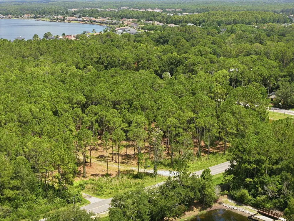 0 ALTAMONT LANE Odessa, FL 33556