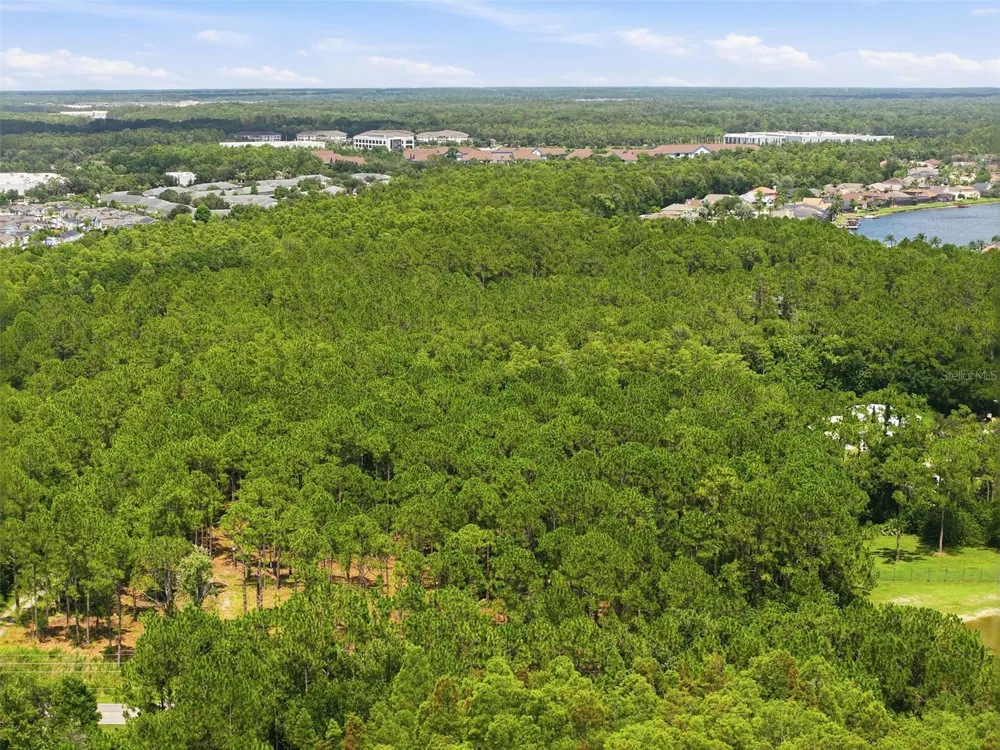 0 ALTAMONT LANE Odessa, FL 33556