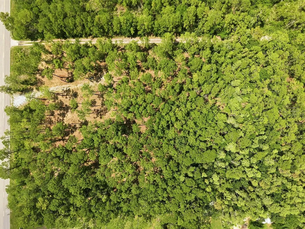 0 ALTAMONT LANE Odessa, FL 33556