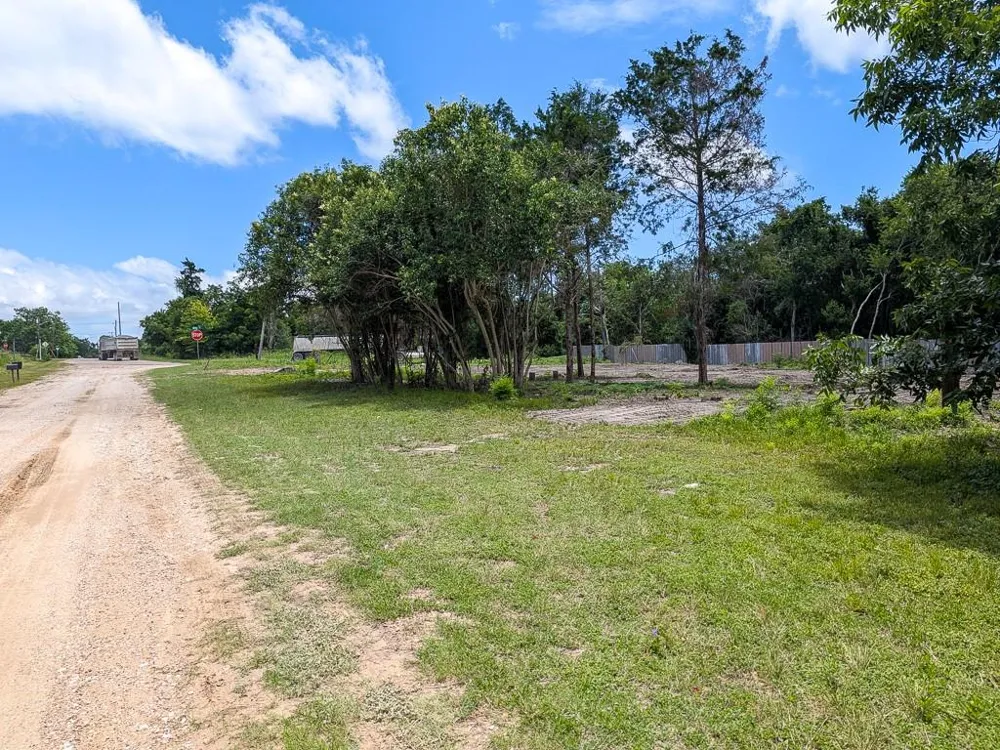 701 E Blackshear Street Navasota, TX 77868