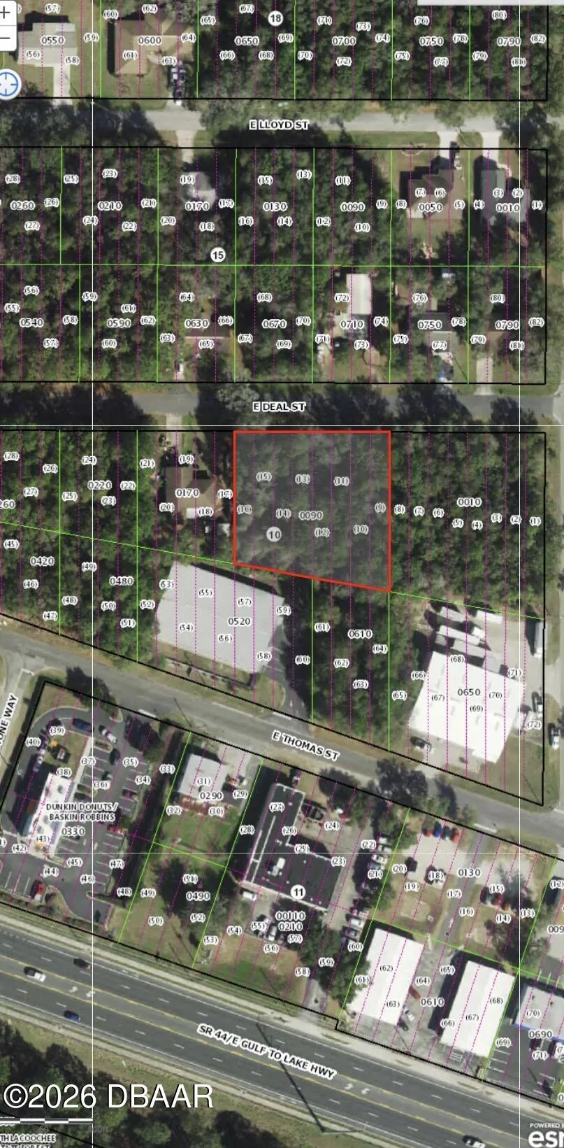 3118 E Deal Street Inverness, FL 34453