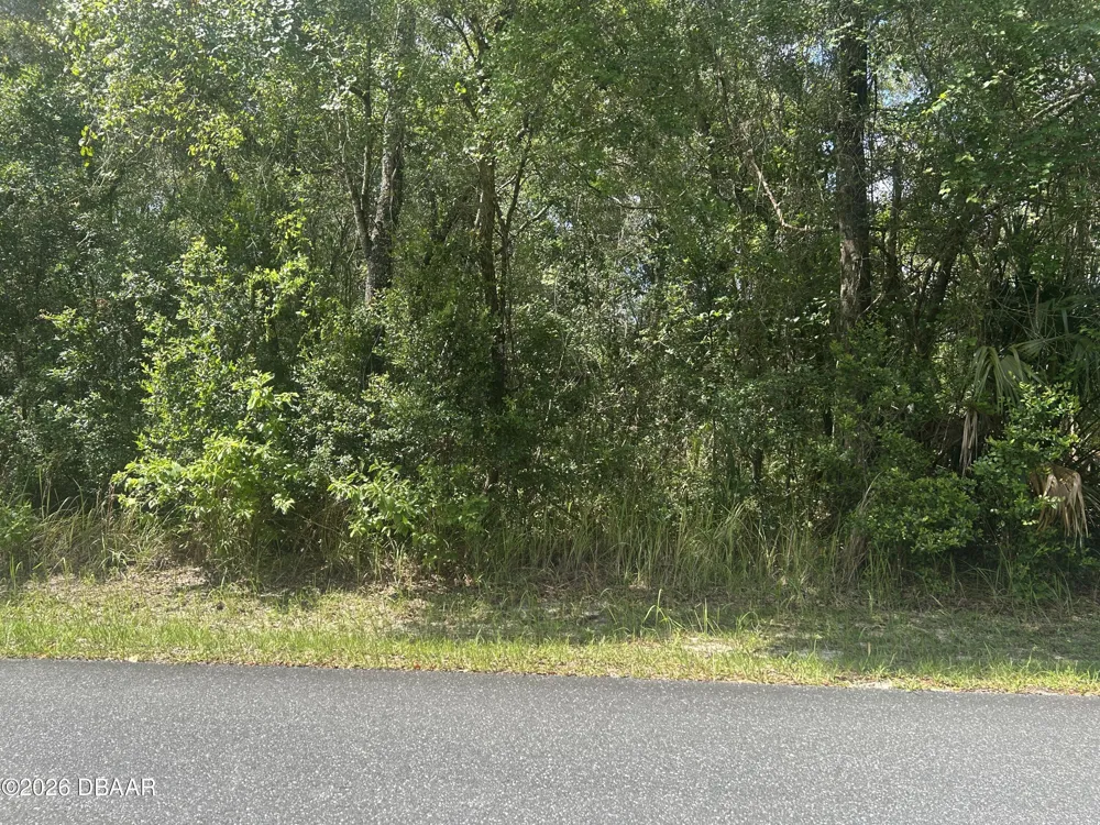 3118 E Deal Street Inverness, FL 34453