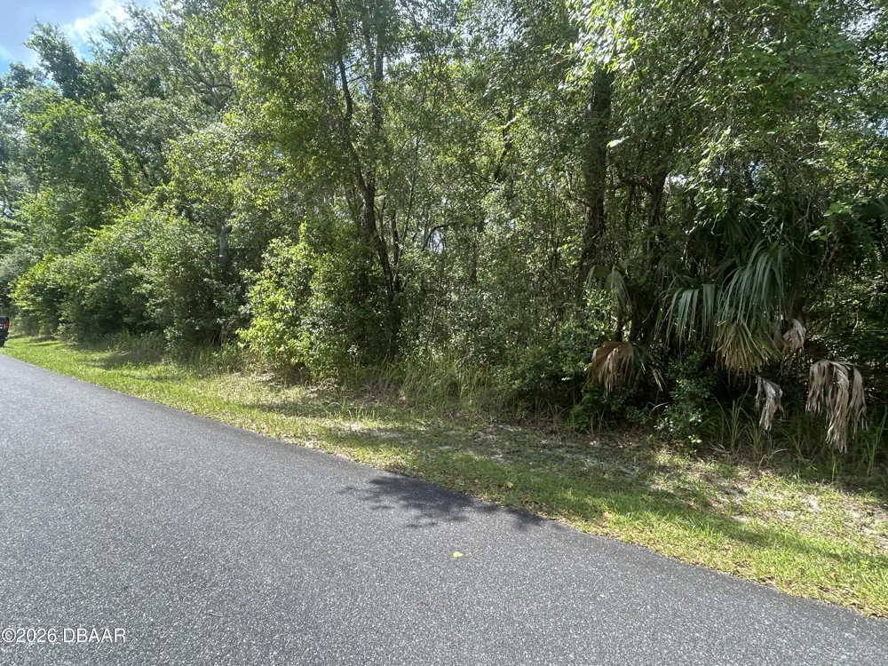 3118 E Deal Street Inverness, FL 34453