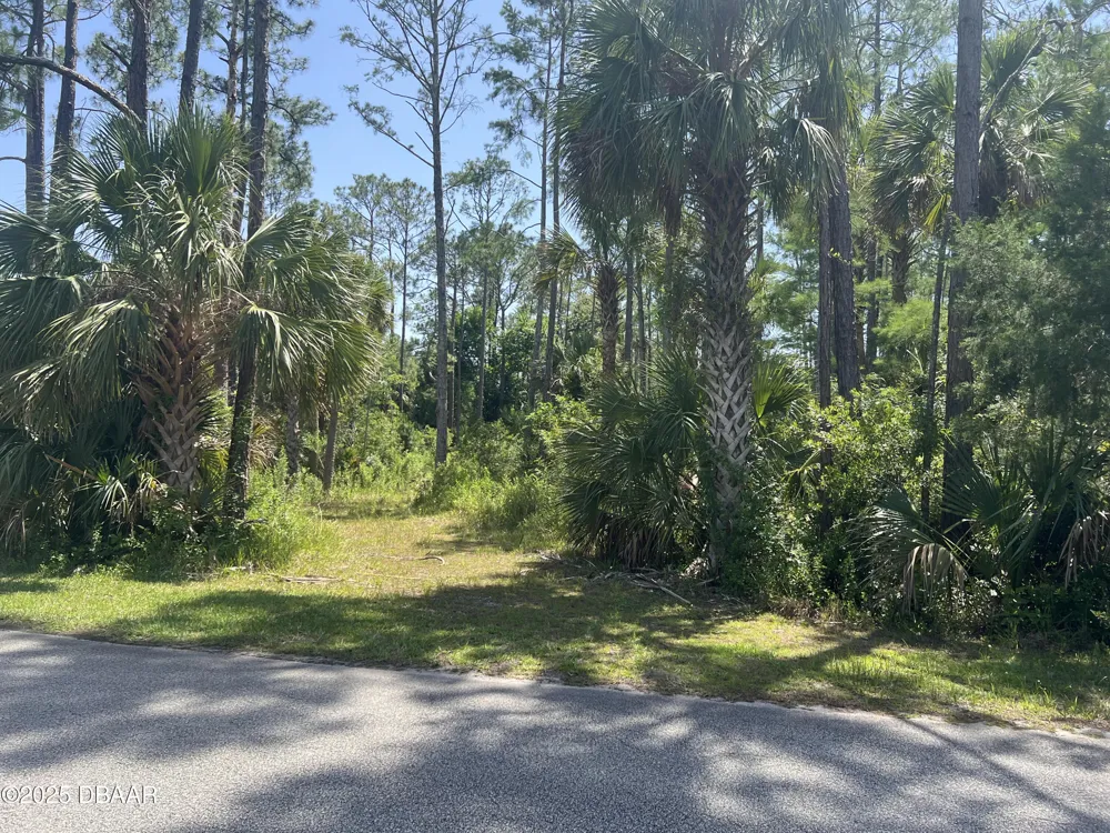 3 Remington Road Ormond Beach, FL 32174