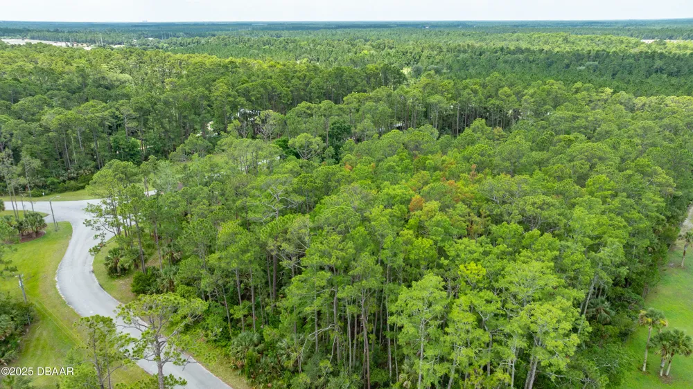 3 Remington Road Ormond Beach, FL 32174