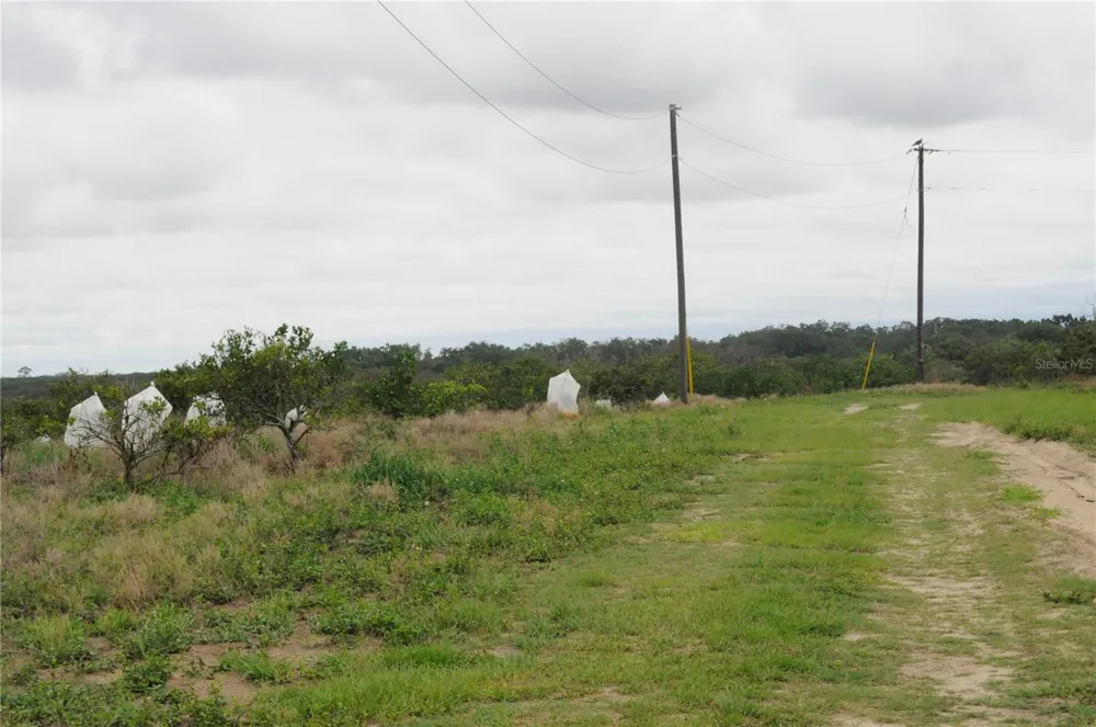 3961 BYRON BOULEVARD Avon Park, FL 33825