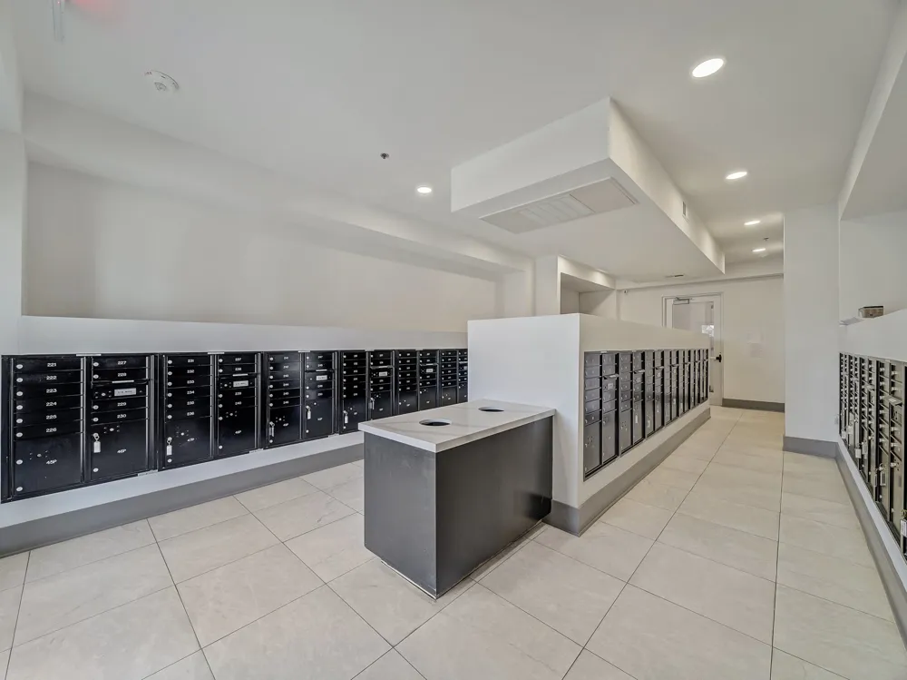 2700 Old Denton Road #2257 Carrollton, TX 75007