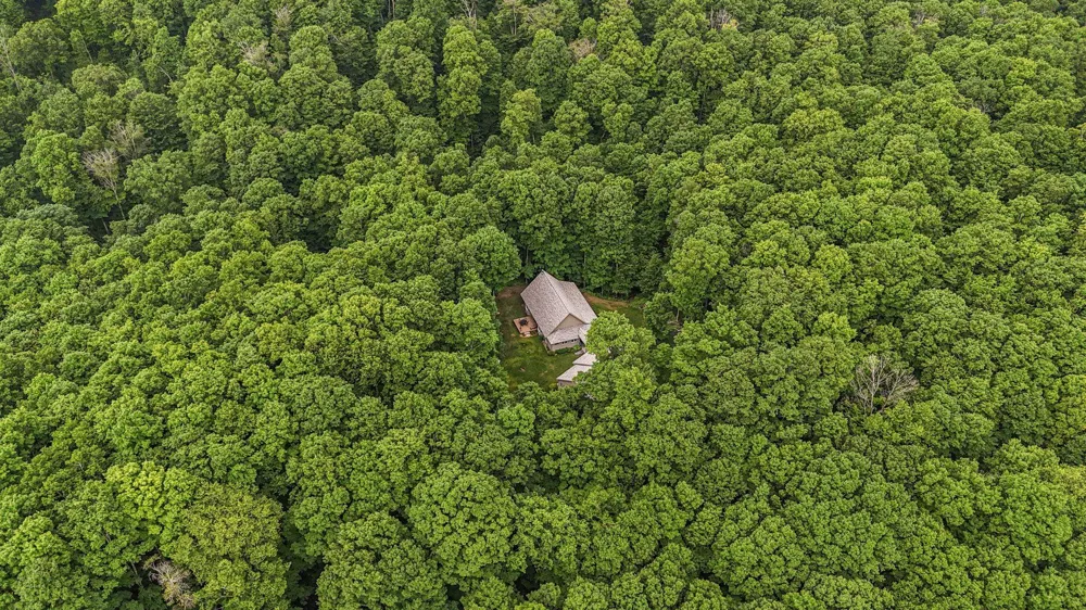5610 Woodland Court Kearney Township, MI 49615
