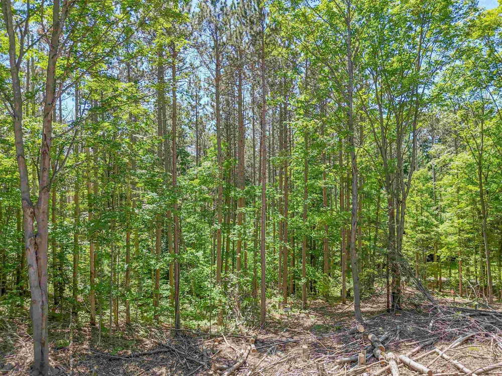 Barnes Road Garfield Charter Township, MI 49684