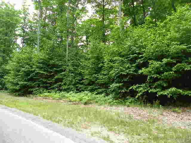 71 Broadwinged Way Kearney Township, MI 49615