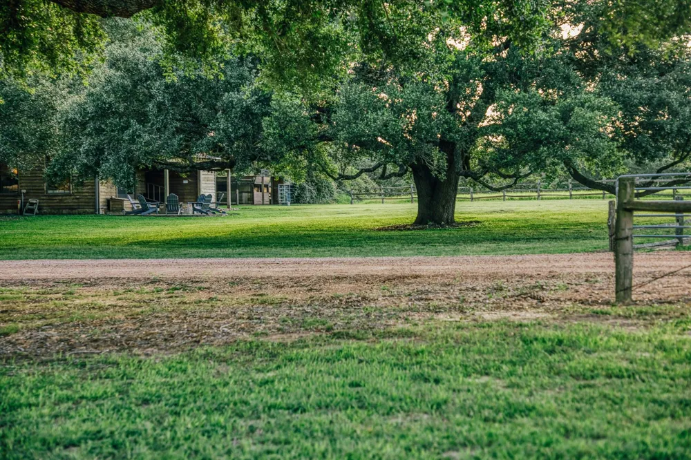1034 Hilbun Road New Ulm, TX 78950