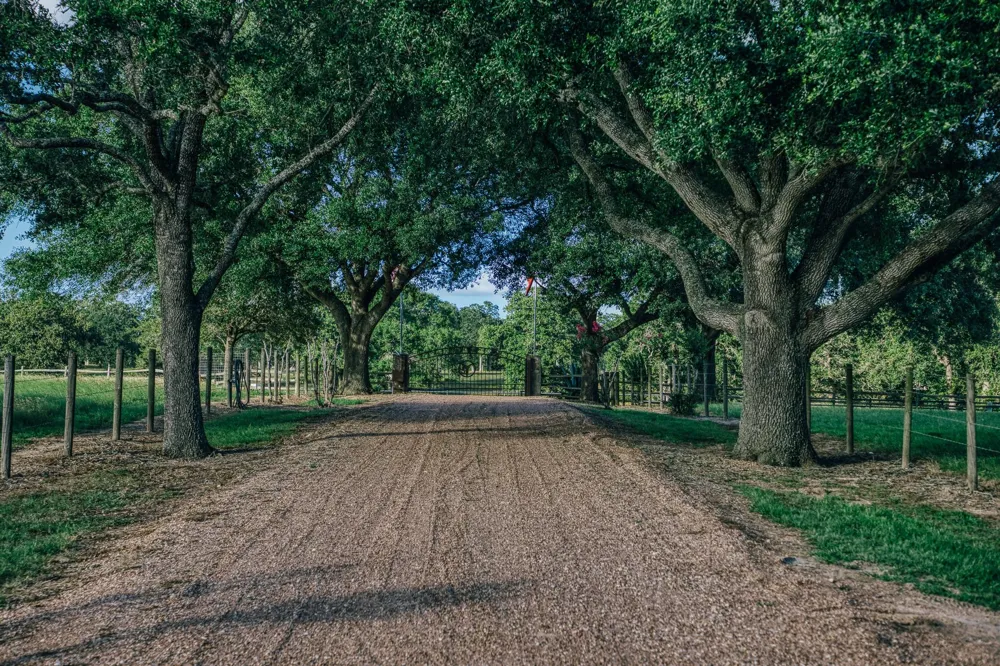 1034 Hilbun Road New Ulm, TX 78950