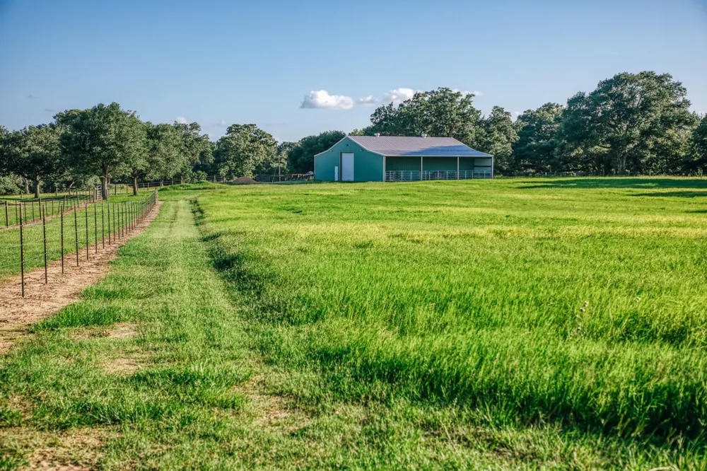 1034 Hilbun Road New Ulm, TX 78950