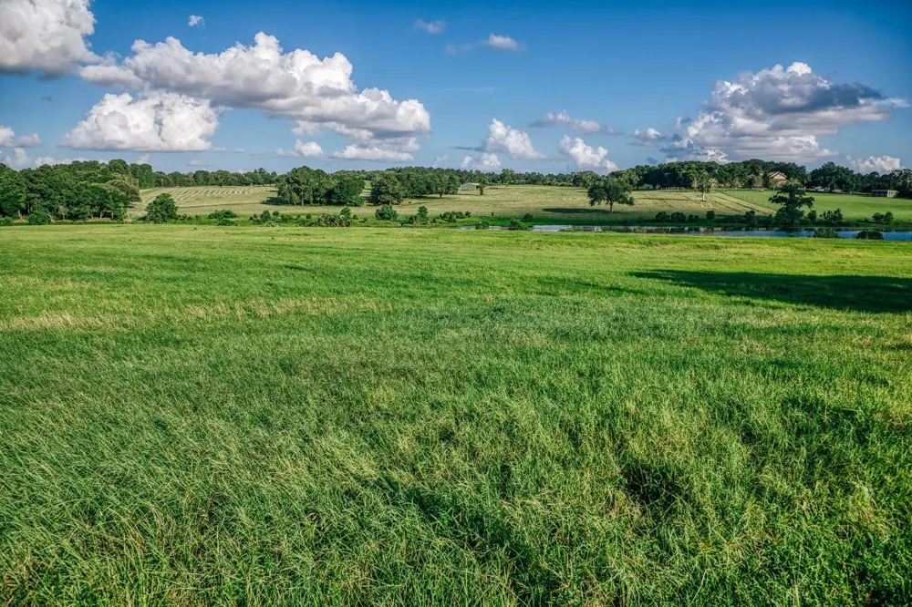 1034 Hilbun Road New Ulm, TX 78950