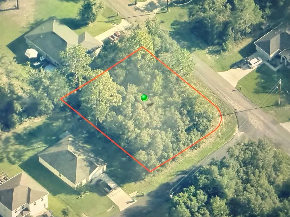 3115 W BABCOCK PLACE Citrus Springs, FL 34433