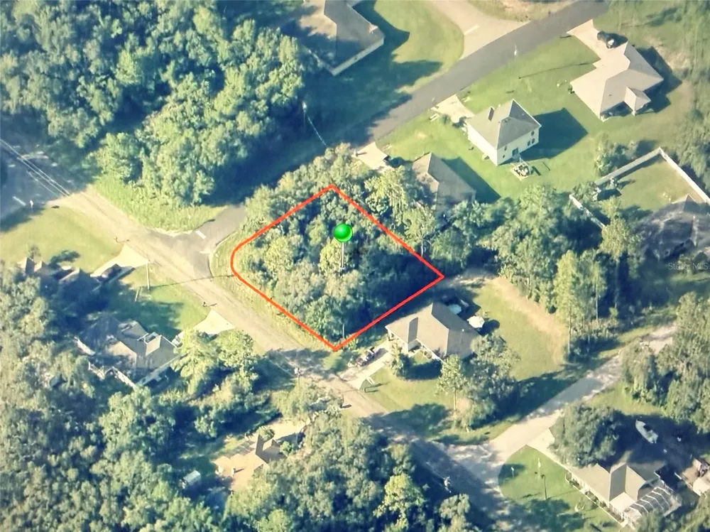 3115 W BABCOCK PLACE Citrus Springs, FL 34433
