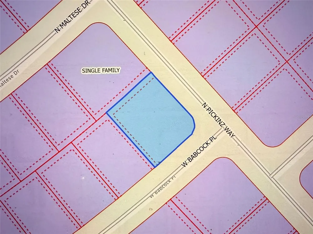 3115 W BABCOCK PLACE Citrus Springs, FL 34433