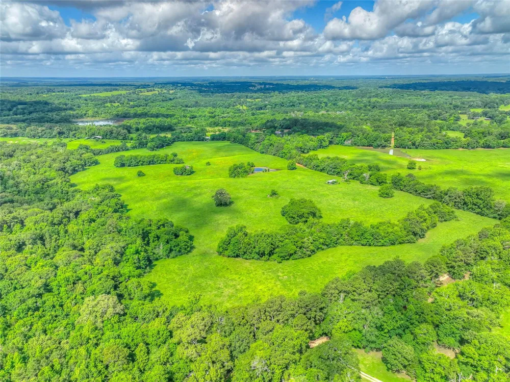 County Road 1750 Grapeland, TX 75844