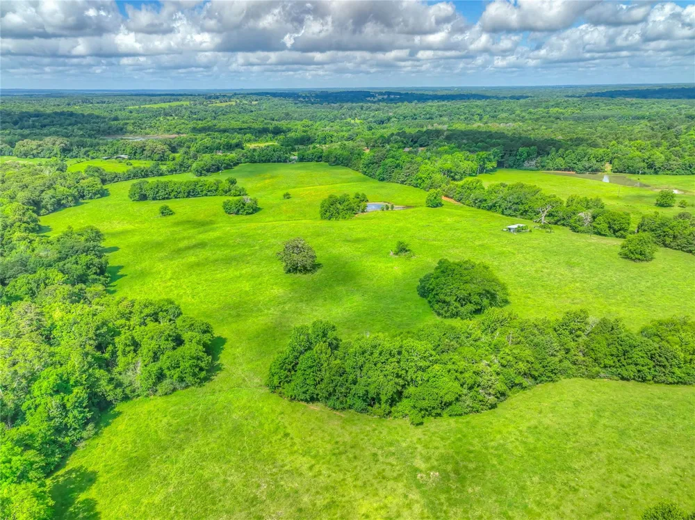 County Road 1750 Grapeland, TX 75844