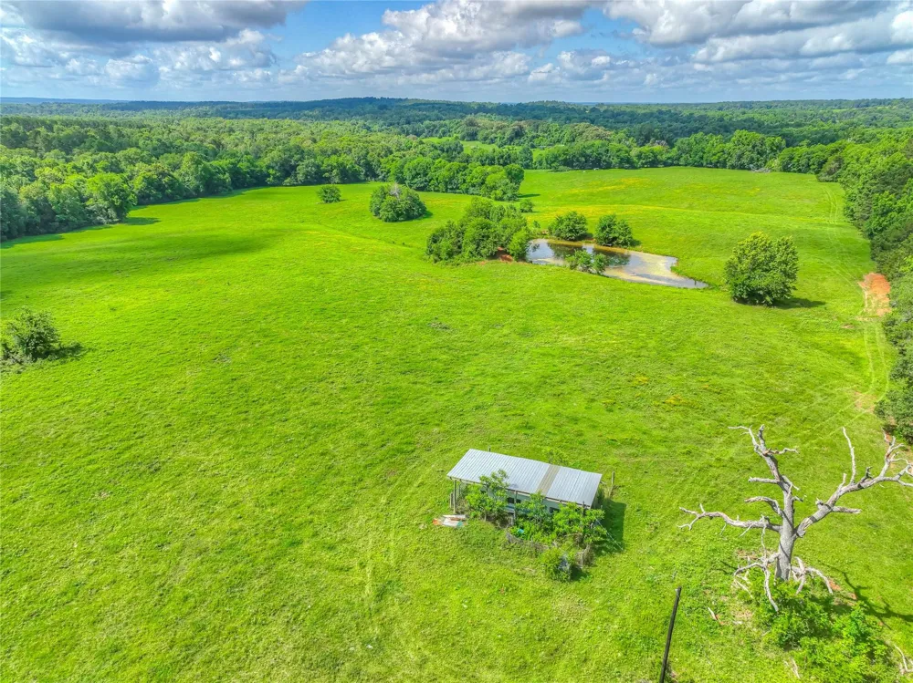 County Road 1750 Grapeland, TX 75844