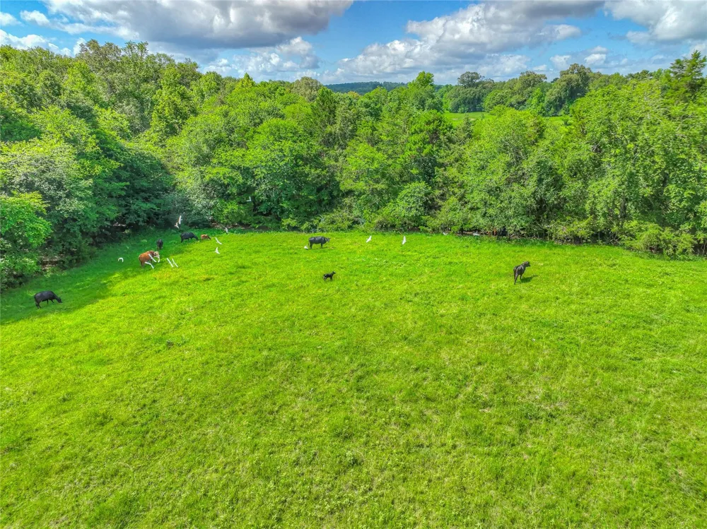 County Road 1750 Grapeland, TX 75844