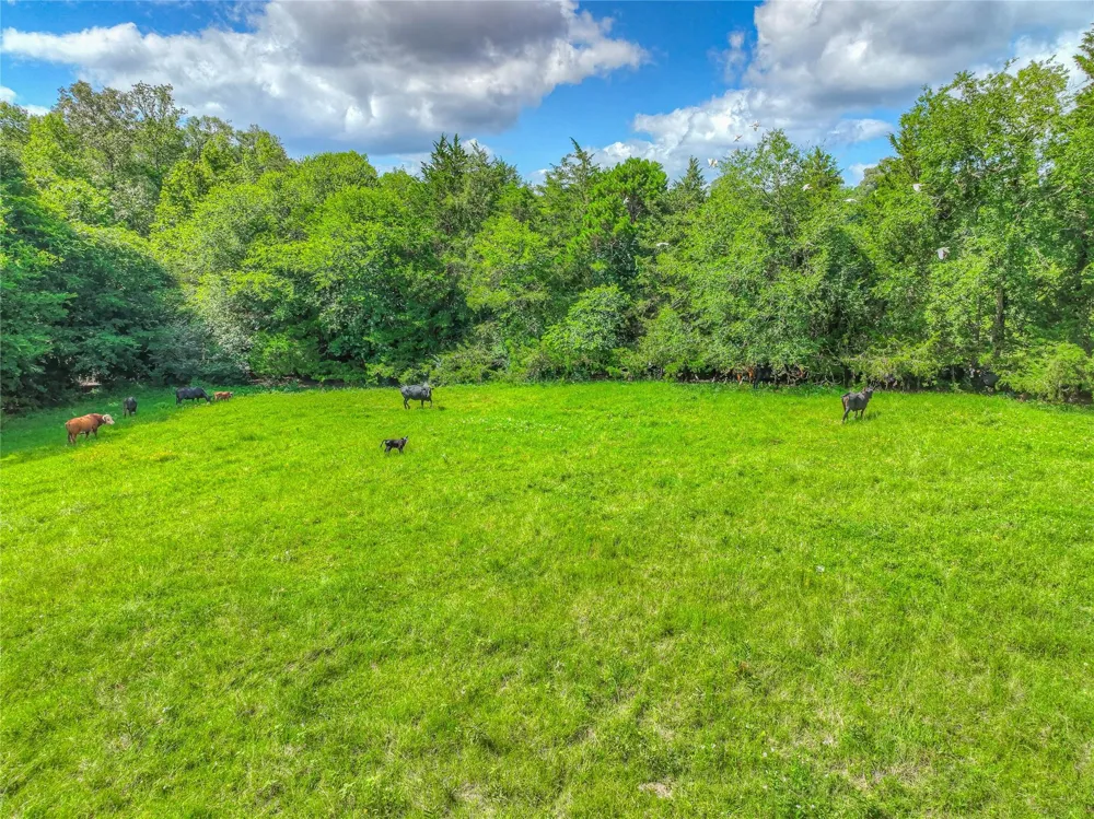 County Road 1750 Grapeland, TX 75844